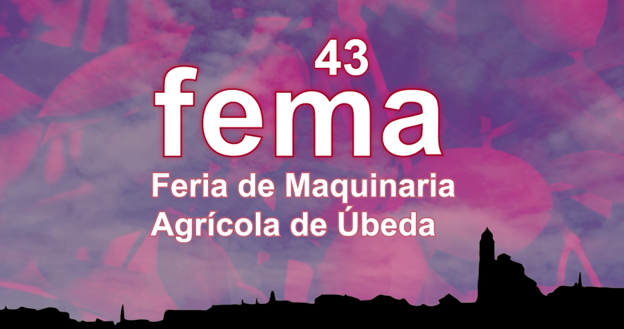 FEMA 2025